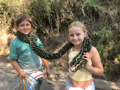 Gruselgeschichten-Geburtstag 2024