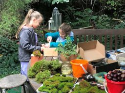 Elfen- und Feenweg 2024