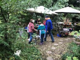 Elfen- und Feenweg 2024