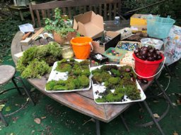 Elfen- und Feenweg 2024