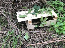 Elfen- und Feenweg 2024