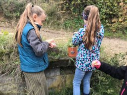 Elfen- und Feenweg 2024