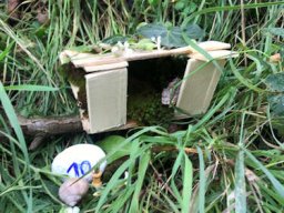 Elfen- und Feenweg 2024