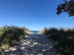 um den Lesegarten 2024