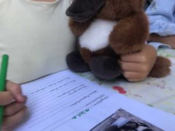Schule der magischen Tiere