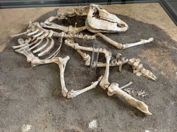 Leseabenteuertag am 21.02.2026